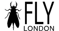 Flylondonsuisse